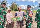 Demi Menjaga Ketahanan Pangan di Wilayah Papua Pegunungan, Satgas TMMD ke-126 Kodim 1702/Jayawijaya Berikan Benih Hortikultura kepada Masyarakat Kampung Algonik