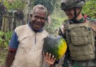Satgas Yonif 732/Banau Borong Hasil Tani Warga Julukoma: Dorong Ekonomi Lokal dan Semangat Petani Papua