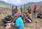 Prajurit Walet Sakti Tanam Harapan di Lembah Jayawijaya: Dari Cangkul Persaudaraan, Tumbuh Kemandirian Pangan Papua