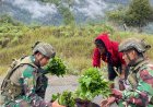 Prajurit TNI Borong Hasil Panen Mama Papua, Ekonomi Lokal Bergeliat