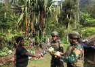 TNI Borong Panen Warga Julukoma, Dongkrak Ekonomi Petani Papua