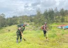 Satgas TNI dan Warga Puncak Bersinergi Buka Lahan, Perkuat Ketahanan Pangan Papua