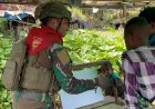 Papua Melek: TNI Hadirkan Asa Pendidikan di Pedalaman Julukoma