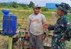 Pendampingan Intensif Babinsa untuk Warga: Dari Kebun Kol Hingga Ketahanan Pangan