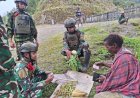 Satgas Yonif 732/Banau Dorong Ekonomi Lokal Lewat 'Rosita' di Papua