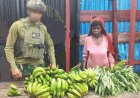 Marinir Dekai Borong Hasil Tani, Bangkitkan Ekonomi Warga Papua