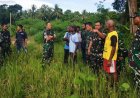 Dandim 1701/Jayapura Dampingi Danrem Tinjau Lahan Cetak Sawah di Kampung Aimbe