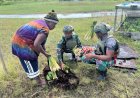 Marinir Borong Hasil Tani Mama Papua, Topang Ekonomi Lokal Dekai