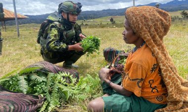 Ksatria TNI Borong Hasil Tani: Dongkrak Ekonomi Masyarakat Papua Pegunungan