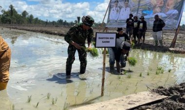Batalyon Infanteri TP 809/NTM Berpartisipasi Aktif dalam Penanaman Perdana Padi dan Program Cetak Sawah Rakyat di Sarmi