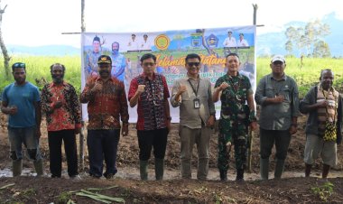 Yonif 756/WMS Terlibat Dalam Meningkatkan Program Hanpangan di Wilayah Papua Pegunungan