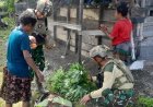Marinir Borong Hasil Kebun, Dongkrak Ekonomi Warga Yahukimo