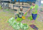 Marinir Borong Hasil Kebun Warga Yahukimo, Jalin Kasih di Pedalaman