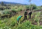 Satgas Yonif 408/SBH Bangun Kedekatan dengan Petani Lanny Jaya