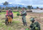 Satgas TNI Borong Sayur Mama Papua, Ekonomi Lokal Bergeliat