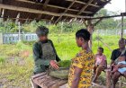 Marinir Borong Hasil Kebun, Dongkrak Ekonomi Warga Keikey Yahukimo