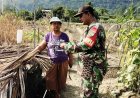 Babinsa Dampingi dan Bantu Warga Olah Lahan untuk Tanaman Cabai