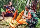 Dukung Komoditas Unggulan Papua, Babinsa Komsos dengan Petani Buah Merah