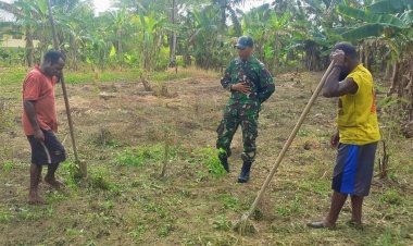 Bertemu Pendeta, Babinsa Bantu Siapkan Lahan Ubi Jalar di Pekarangan Gereja