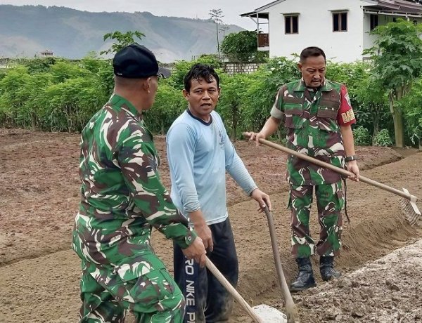 Dampingi Petani Sayur, Babinsa Sentani Dorong Ketahanan Pangan Lokal