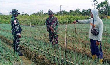 Dongkrak Produktivitas Petani Daun Bawang, Babinsa Berikan Pendampingan