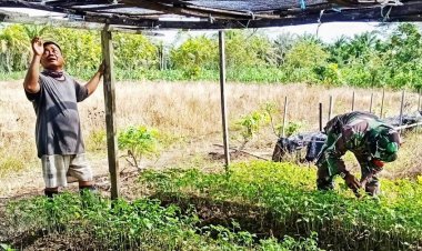 Serda Kapisa Diskusi dengan Petani Bahas Pestisida hingga Strategi Panen Cabai Rawit